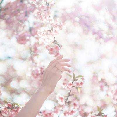 火狐电竞·huohu手机app下载